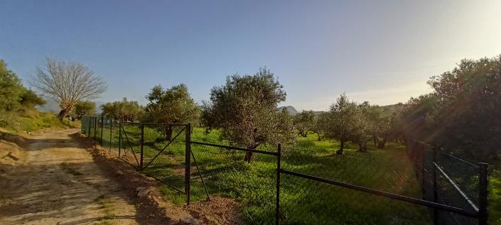 Image No.6-Terrain à vendre à Crète