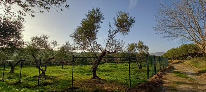 Image No.7-Terrain à vendre à Crète