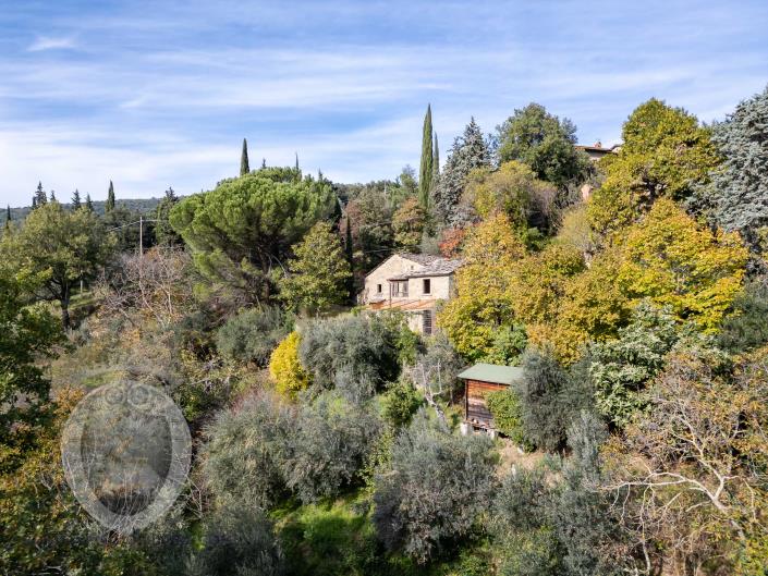 Image No.5-3 Bed Country House for sale