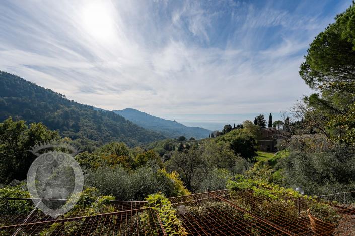 Image No.24-3 Bed Country House for sale