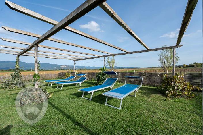 Image No.12-Ferme de 7 chambres à vendre à Cortona