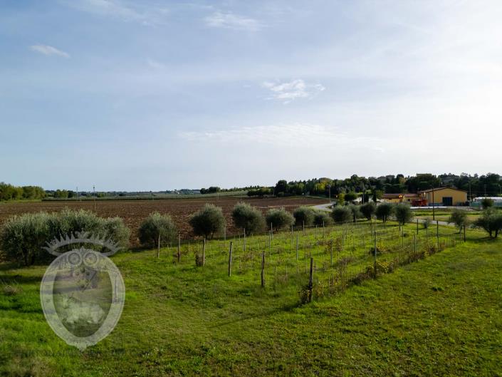 Image No.52-Ferme de 7 chambres à vendre à Cortona