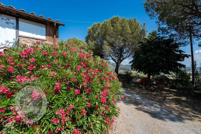 Image No.16-Ferme de 4 chambres à vendre à Cortona