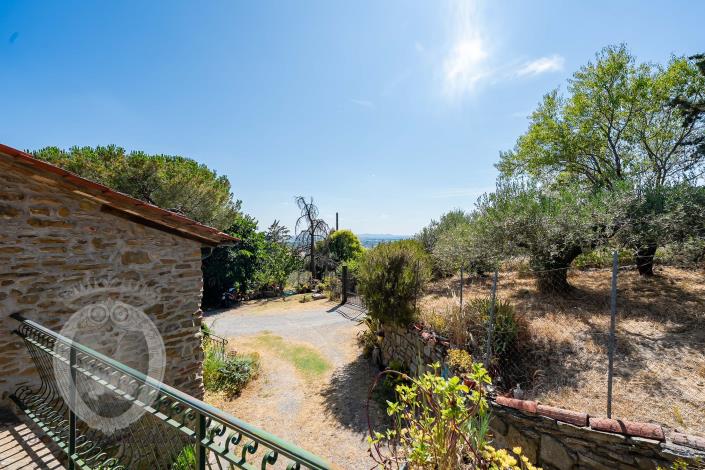 Image No.29-Ferme de 4 chambres à vendre à Cortona