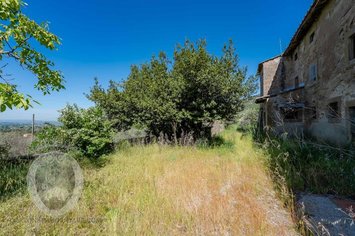 Image No.5-Ferme de 8 chambres à vendre à Cortona