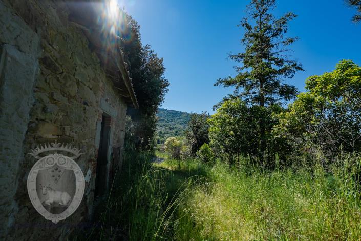 Image No.7-Ferme de 8 chambres à vendre à Cortona