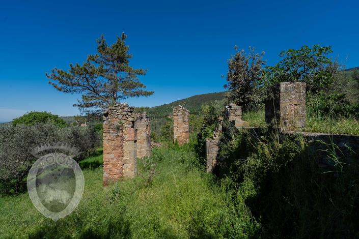 Image No.21-Ferme de 8 chambres à vendre à Cortona