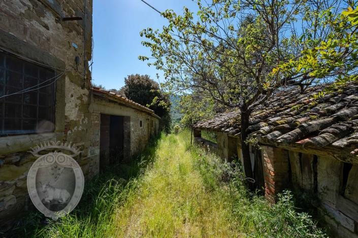 Image No.23-Ferme de 8 chambres à vendre à Cortona