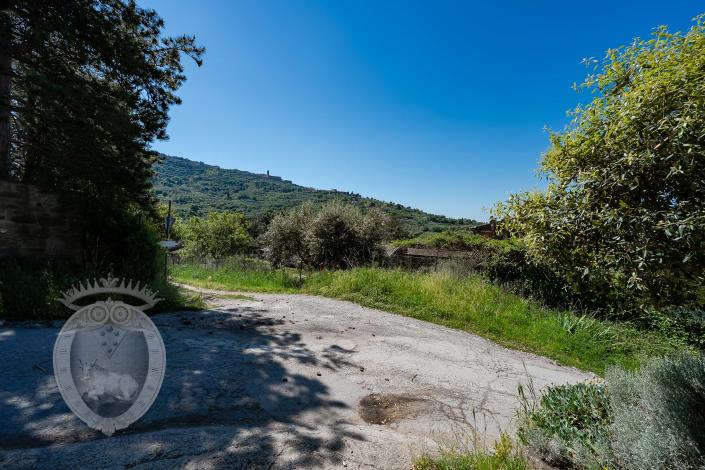 Image No.24-Ferme de 8 chambres à vendre à Cortona