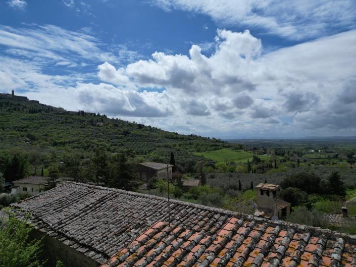 Image No.38-Ferme de 8 chambres à vendre à Cortona