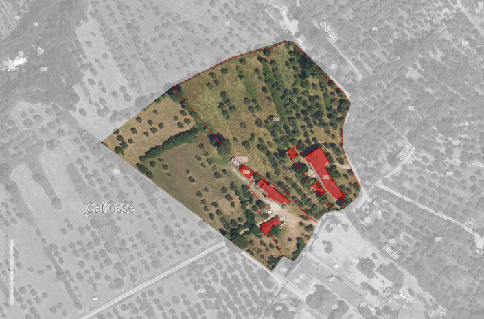 Image No.40-Ferme de 8 chambres à vendre à Cortona