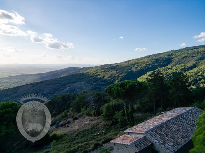 Image No.8-Ferme de 3 chambres à vendre à Cortona