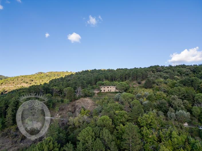 Image No.9-Ferme de 3 chambres à vendre à Cortona