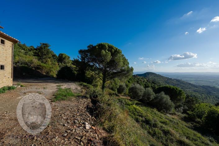 Image No.18-Ferme de 3 chambres à vendre à Cortona
