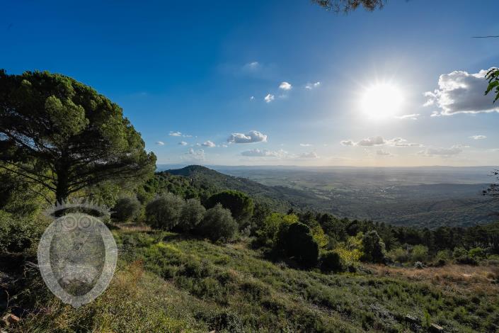 Image No.20-Ferme de 3 chambres à vendre à Cortona