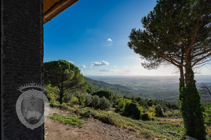 Image No.26-Ferme de 3 chambres à vendre à Cortona