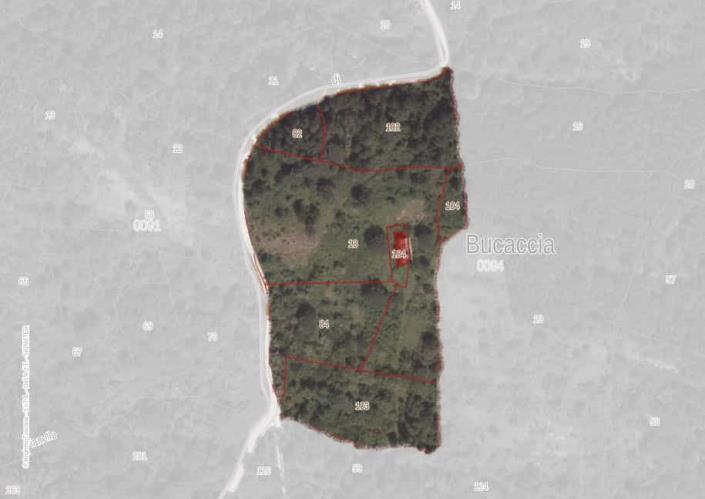 Image No.31-Ferme de 3 chambres à vendre à Cortona