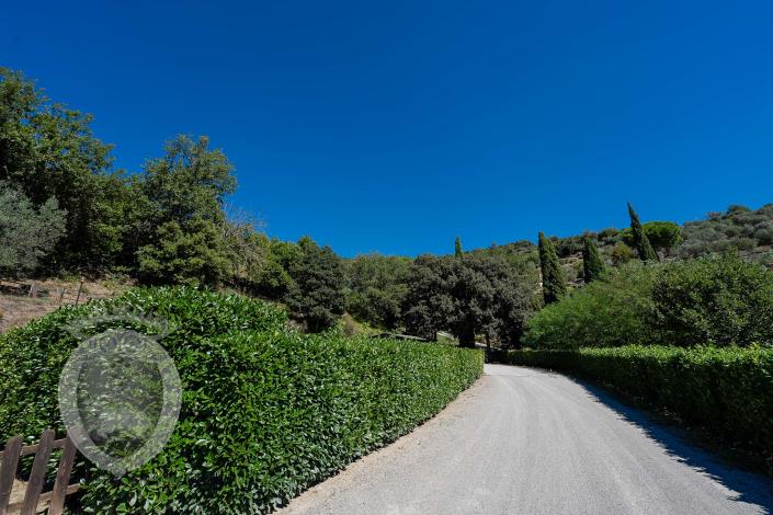 Image No.19-Ferme de 8 chambres à vendre à Cortona