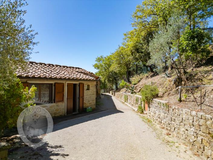 Image No.55-Ferme de 8 chambres à vendre à Cortona