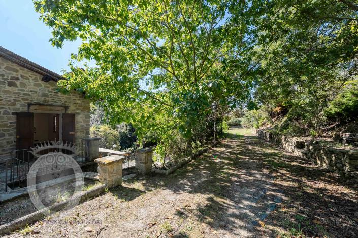 Image No.8-Ferme de 4 chambres à vendre à Cortona