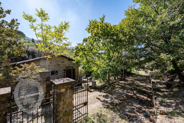 Image No.9-Ferme de 4 chambres à vendre à Cortona