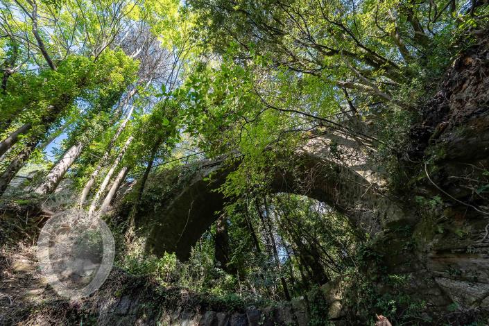 Image No.16-Ferme de 4 chambres à vendre à Cortona