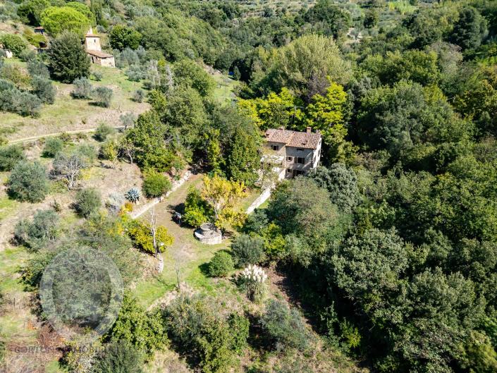 Image No.53-Ferme de 4 chambres à vendre à Cortona