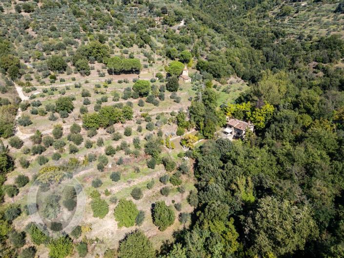 Image No.55-Ferme de 4 chambres à vendre à Cortona