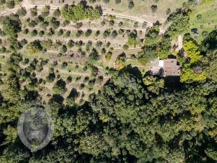 Image No.54-Ferme de 4 chambres à vendre à Cortona