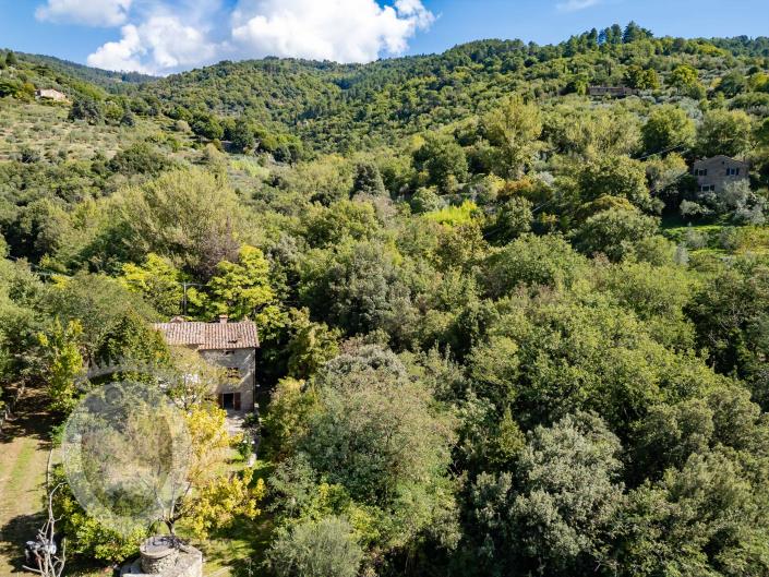 Image No.57-Ferme de 4 chambres à vendre à Cortona