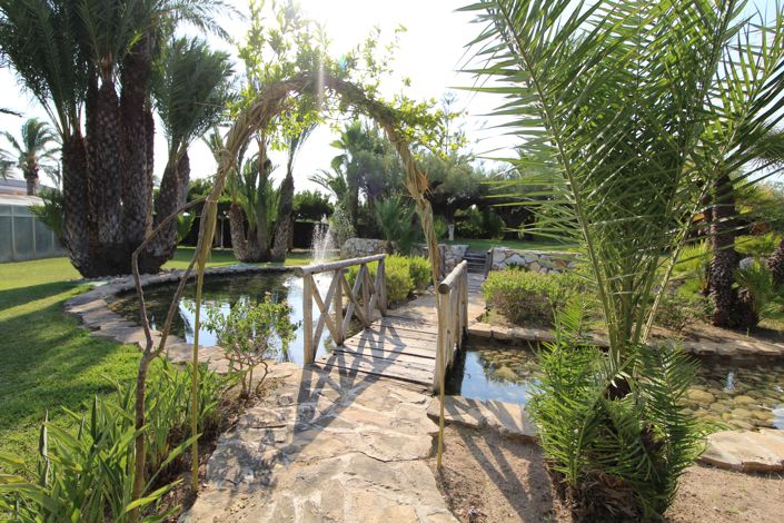 Image No.3-Finca de 7 chambres à vendre à Alicante