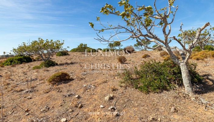 Image No.17-Terre à vendre à Lagos