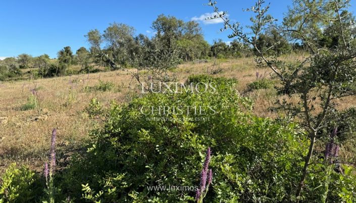 Image No.4-Terre à vendre à Silves