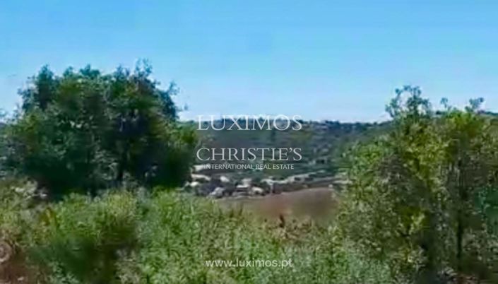 Image No.3-Terre à vendre à Silves