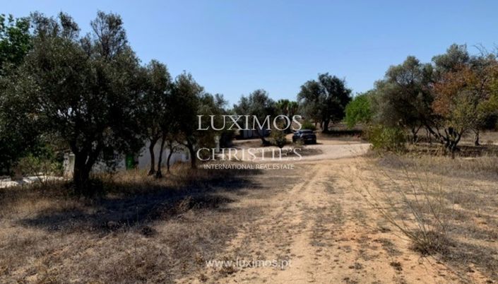 Image No.6-Terre à vendre à Portimao