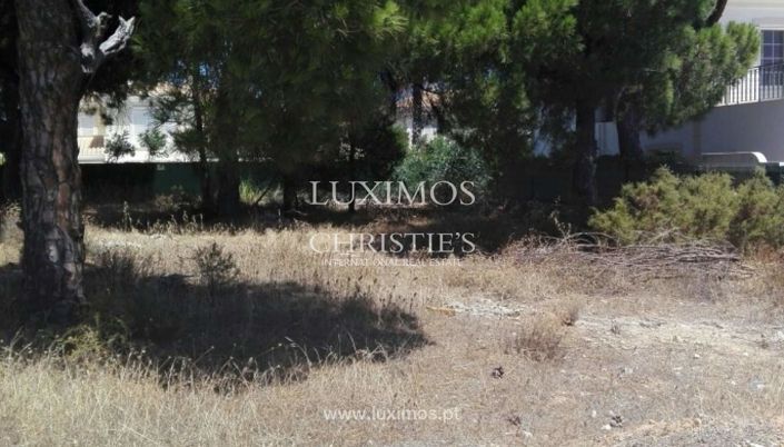 Image No.3-Terre à vendre à Loule