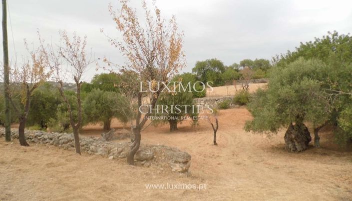 Image No.4-Terre à vendre à Loule