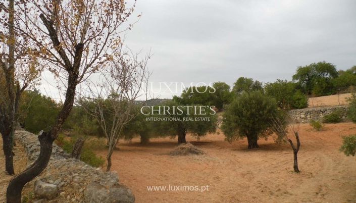 Image No.5-Terre à vendre à Loule