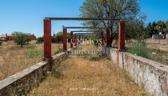 Image No.14-Ferme à vendre à Silves