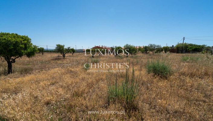 Image No.15-Ferme à vendre à Silves
