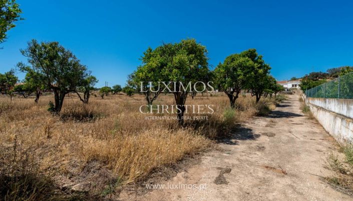 Image No.16-Ferme à vendre à Silves