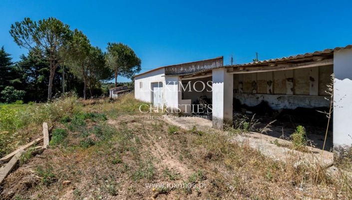 Image No.17-Ferme à vendre à Silves
