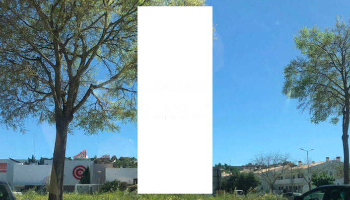 Image No.4-Terre à vendre à Loule