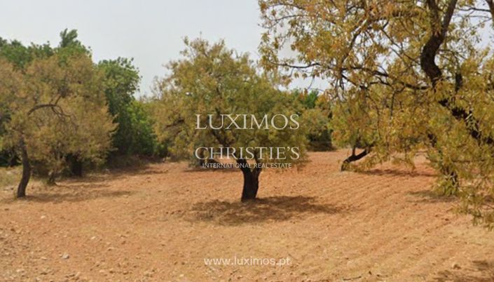 Image No.3-Terre à vendre à Faro City