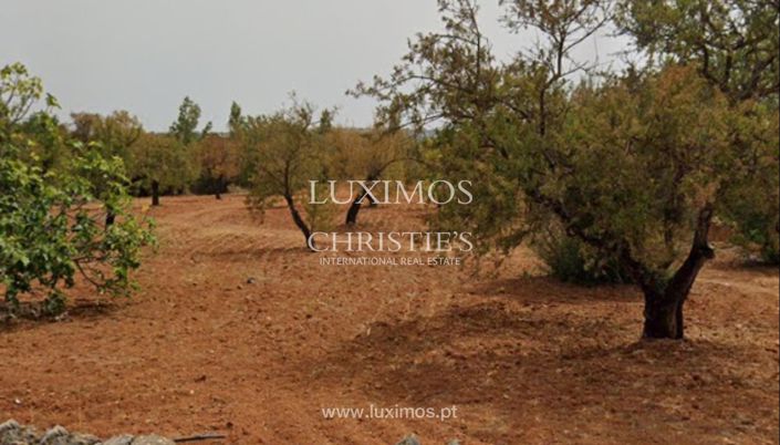 Image No.5-Terre à vendre à Faro City