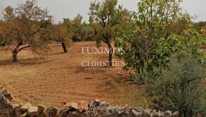 Image No.8-Terre à vendre à Faro City