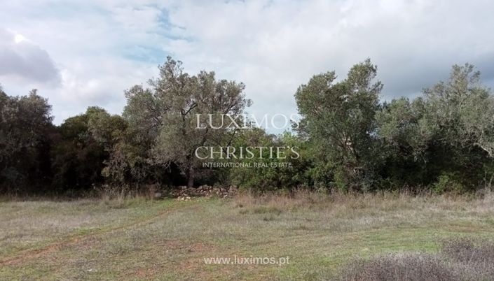 Image No.13-Terre à vendre à Faro City