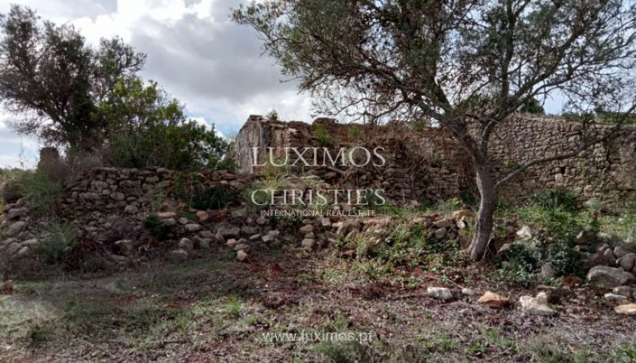 Image No.19-Terre à vendre à Faro City