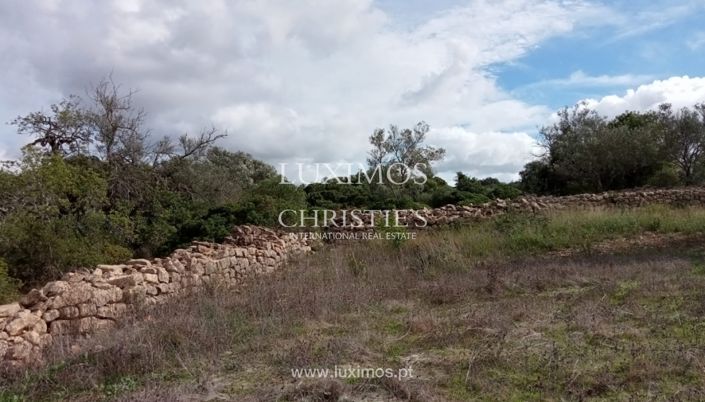 Image No.23-Terre à vendre à Faro City