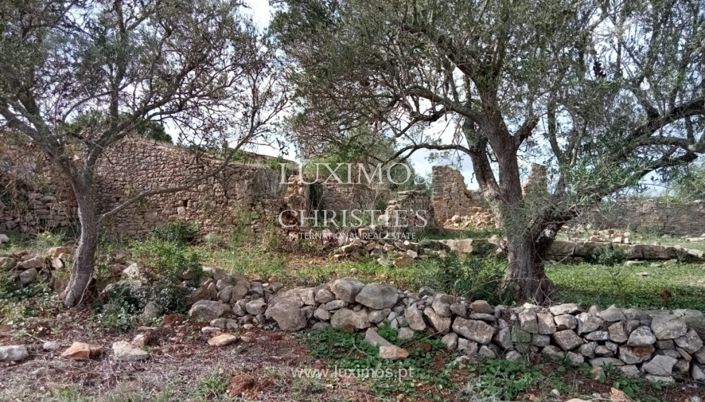 Image No.24-Terre à vendre à Faro City